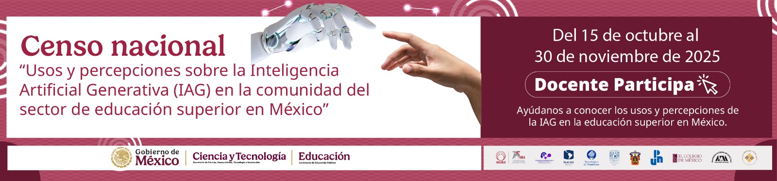 Censo docentes